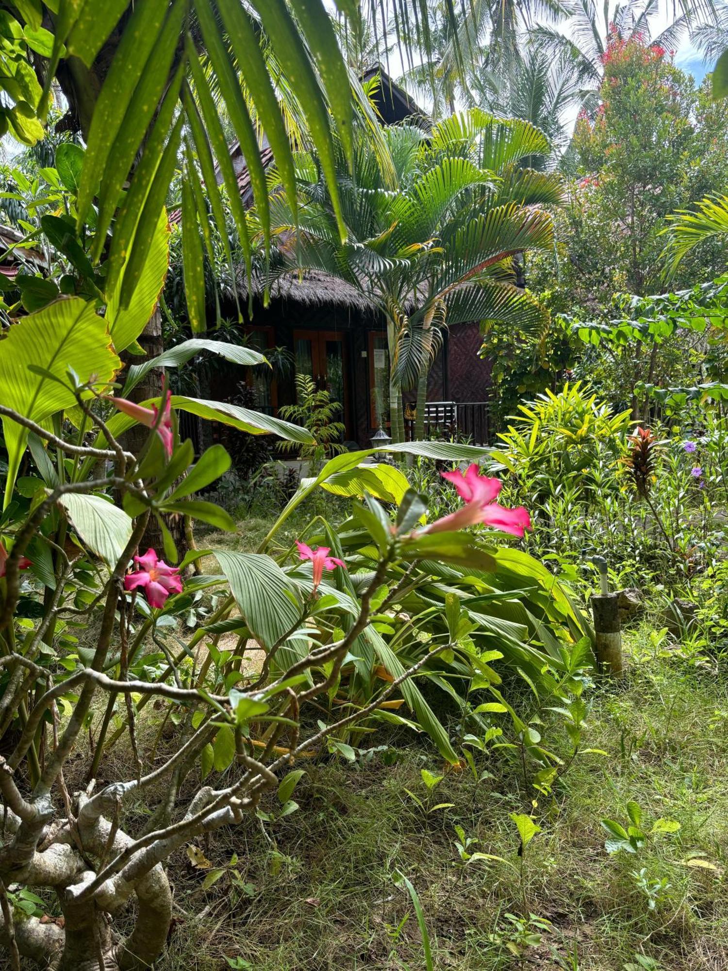 Kubu Artha Bungalow Nusa Penida Ped Εξωτερικό φωτογραφία