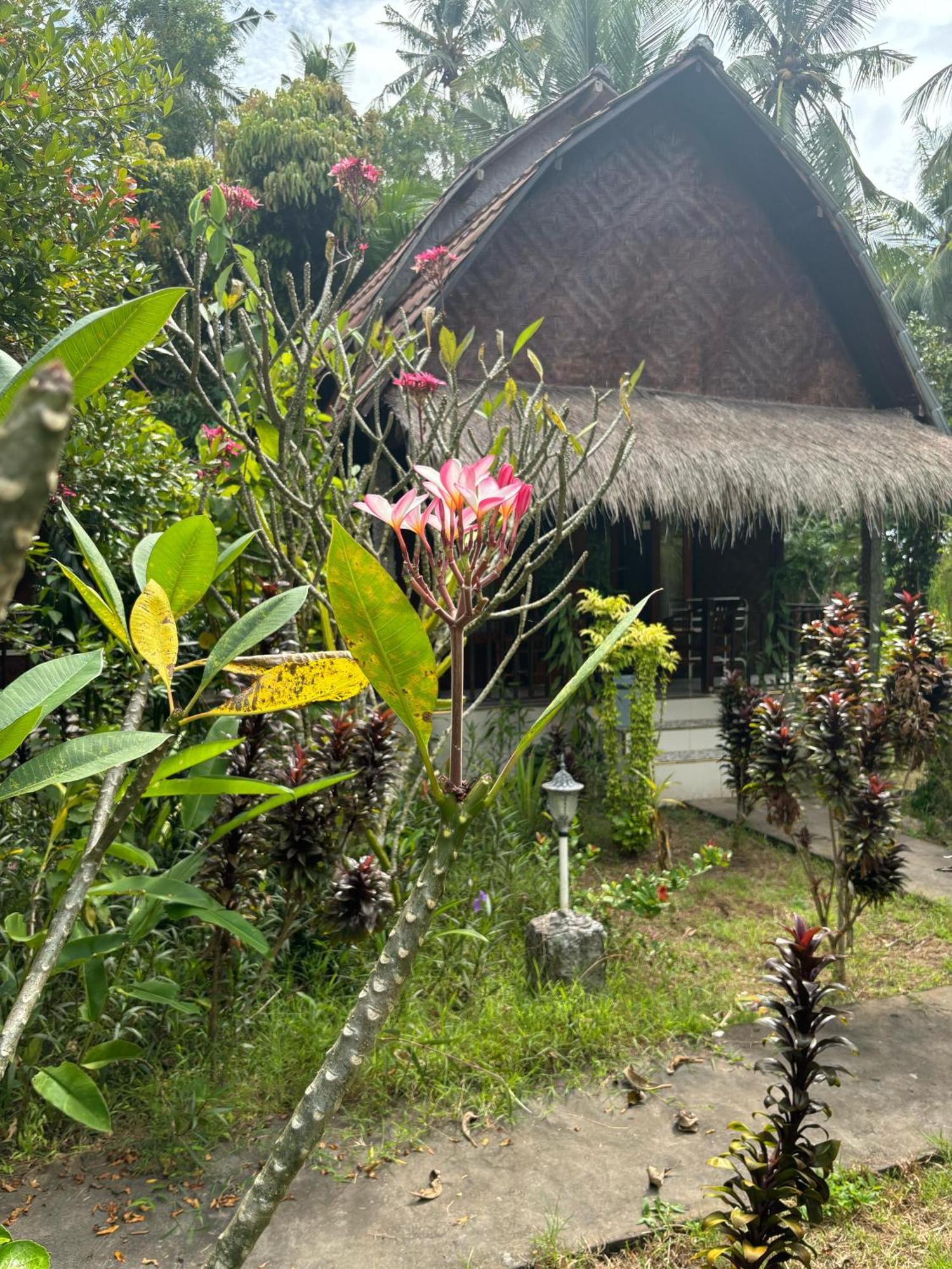 Kubu Artha Bungalow Nusa Penida Ped Εξωτερικό φωτογραφία